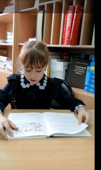 читатель читатель